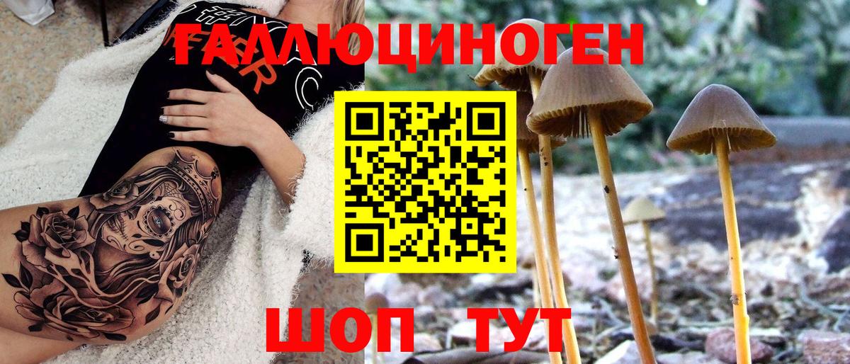 Галлюциногенные грибы мухоморы Дзержинский
