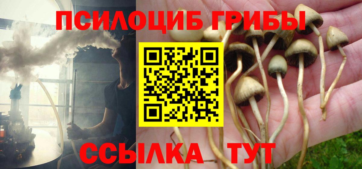 как найти закладки  Галлюциногенные грибы мухоморы  Галлюциногенные грибы Cubensis  Вход с VPN  Дзержинский 